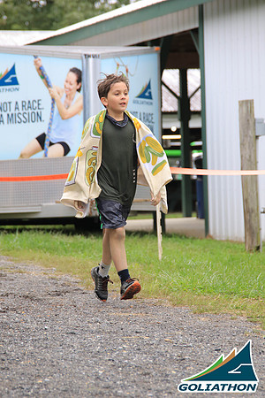 043A1336