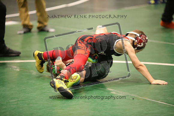 RSP_1674
