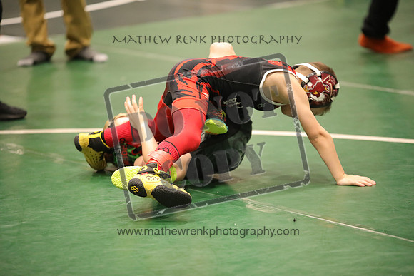 RSP_1675