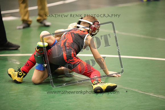 RSP_1677
