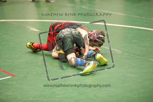 RSP_1779