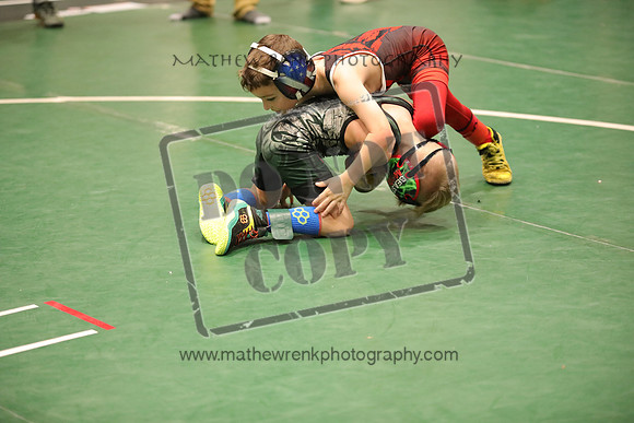 RSP_1787