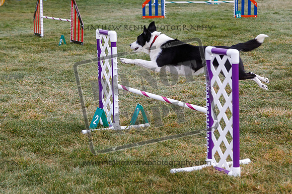 Bayshore Agility-85