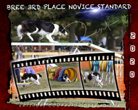 Bree Dog Agility copy