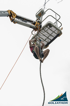 MJR_2561