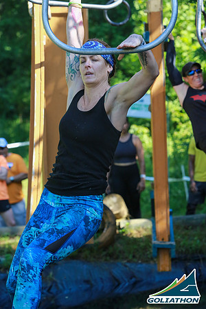 M_V_2784